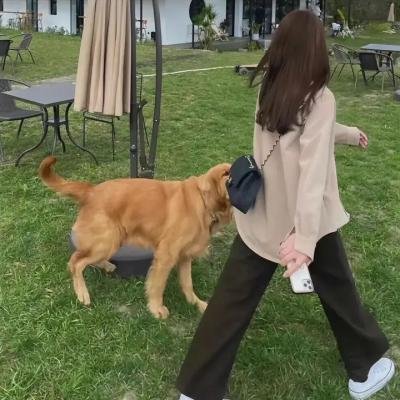 变调假期